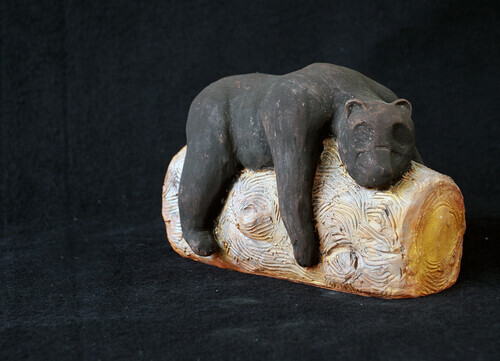 l'ours qui dort