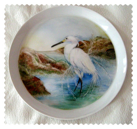 aigrette au bord de l'&eacute;tang